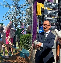 Fethiye'de barışın güvercinleri uçtu, dostluğun zeytini dikildi
