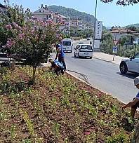 Fethiye'de kavşaklara estetik dokunuş: Peyzaj çalışmaları sürüyor