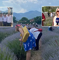 Fethiye'de lavantadan üretime, üretimden katma değere