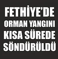 Fethiye'de orman yangını kısa sürede söndürüldü