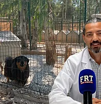 Fethiye'de 'Patili Dost Kart' sahiplerine özel ayrıcalıklar