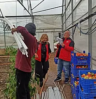 Fethiye'de seralarda hasar tespit çalışmaları sürüyor