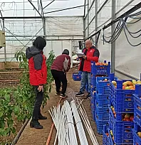 Fethiye'de seralarda hasar tespit çalışmaları sürüyor