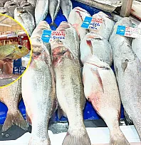 Fethiye'de tezgahlarda yazın balık bereketi: Fangri mercan ve deniz levreği öne çıkıyor
