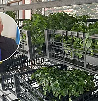 Fethiye'de üreticilere uyarı: Sıcaklıklar bitki hastalıklarını tetikliyor