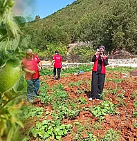 Fethiye'de üretim planlaması için nohut tarlaları incelendi