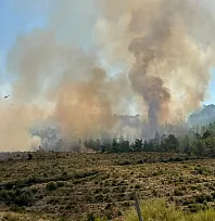 Fethiye'de yangın Koru Mahallesi'nde şiddetlendi