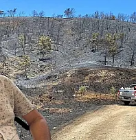 Fethiye'de yangın sonrası Karagedik Muhtarı Canözü'nden çağrı: 'Dağa çıkış yolları kapatılmalı'