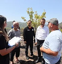 Fethiye'de Yangının Ardından Büyükşehir'den Kapsamlı Hasar Tespiti