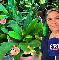 Fethiye'de yaz sıcaklarına karşı çiçek bakımının püf noktaları