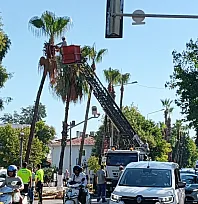 Fethiye'de yeşil dokunun bakımı sürüyor