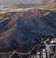 Fethiye'deki Yangın, geride izleri yıllarca silinmeyecek acı bir manzara bıraktı
