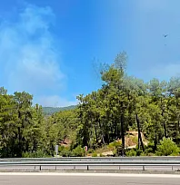 Fethiye Gökçeovacık'ta orman yangınına havadan ve karadan müdahale