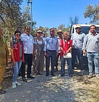 Fethiye İnlice Mahallesi'nde yangından etkilenen zeytinliklerde ön inceleme yapıldı
