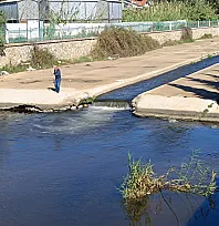 Fethiye Murt Deresi'nde Kefal Avı