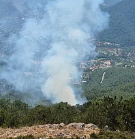 Fethiye Nif'te orman yangını! Havadan müdahale başladı