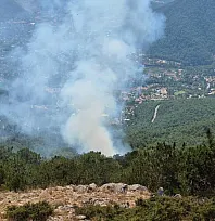 Fethiye Nif'te orman yangını kontrol altına alındı