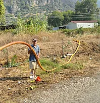 Fethiye Orman Yangınında Zeytinlikleri kül oldu, gözyaşını içine akıtıp yangına su taşıdı