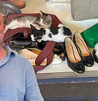 Fethiye Paspatur Esnafından Sokak Hayvanlarına Örnek Destek: 'Onlar da Bir Can'