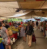 Fethiye Pazar Pazarı'nda Güncel Fiyatlar