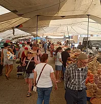 Fethiye Salı Pazarı'nda Güncel Sebze ve Meyve Fiyatları Belli Oldu: Fasulye 150, Barbunya 250 TL