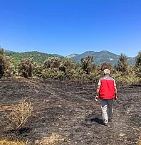 Fethiye Üzümlü'de Yangın Sonrası Tarım Arazileri İncelendi