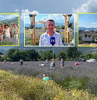 Fethiye Yeşilüzümlü'de 5. Lavanta Kesimi başladı