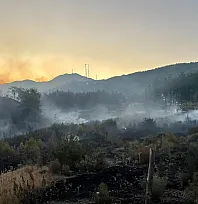 Fethiye Yeşilüzümlü'de alevlerle zorlu mücadele sürüyor