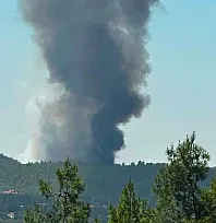 Fethiye Yeşilüzümlü'de rüzgar yangını yeniden alevlendirdi