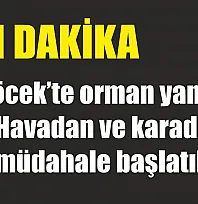 Göcek'te orman yangını: Havadan ve karadan müdahale başlatıldı