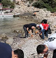 Gökova Körfezi'ndeki koylarda temizlik yapıldı