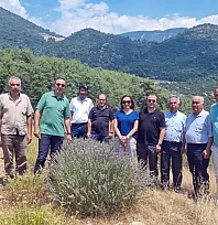 İncirköy ve Üzümlü'de Distilasyon Tesisi İçin İnceleme