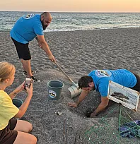 İtalya'da kurtarılan caretta caretta, Muğla sahilinde yumurtladı