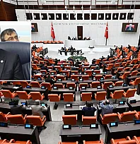 İYİ Partili Metin Ergun, yerli sığır ırklarının araştırılması için TBMM'ye önerge sundu