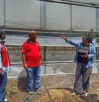Karaçulha'da domuz zararı yerinde incelendi: Fethiyeli üreticilere ÇKS ve yeni B-Reçete Sistemi uyarısı