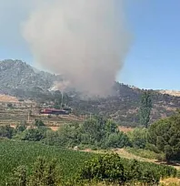 Kavaklıdere'deki yangına müdahale sürüyor