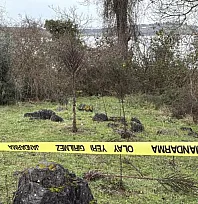 Kayıp olarak aranan adam ormanlık alanda ölü bulundu