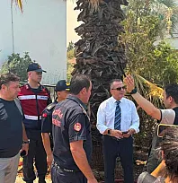 Kaymakam Akkaya Yangın Bölgesinde