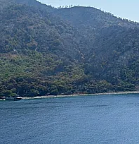 Marmaris'teki orman yangını kontrol altına alındı
