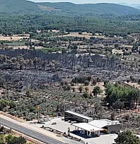Menteşe'de alevler geride kara bir tablo bıraktı: 150 hektar zarar gördü