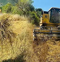 Menteşe'de biçerdöverlere sıkı denetim