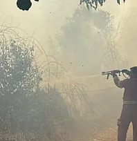 Menteşe'de çıkan anız yangını büyümeden söndürüldü