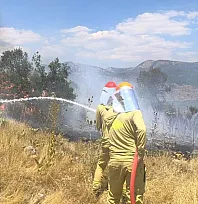 Menteşe'de makilik yangını