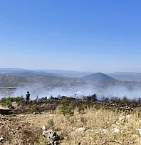 Menteşe'de makilik yangını
