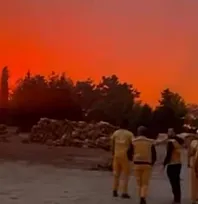 Menteşe'de orman yangını