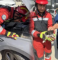 Menteşe'de otomobilin motoruna sıkışan kedi kurtarıldı