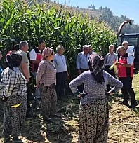Menteşe'de üreticilere silajlık mısır eğitimi verildi