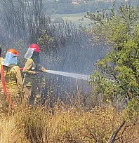 Menteşe'deki makilik yangını kontrol altına alındı