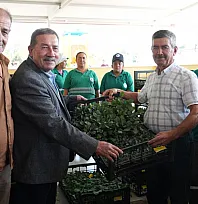 Milas Belediyesi Kışlık Sebze Fidelerini Üreticilerle Buluşturdu