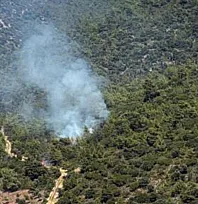 Milas Kazıklı Koyu'nda makilik alanda yangın çıktı